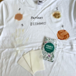 Exkluzivní bábovka: český návod na rychlý a aromatický dezert k kávě